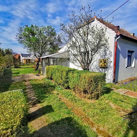 Апартаменты Dolce Weekend Balaton Балатондьёрёк Экстерьер фото
